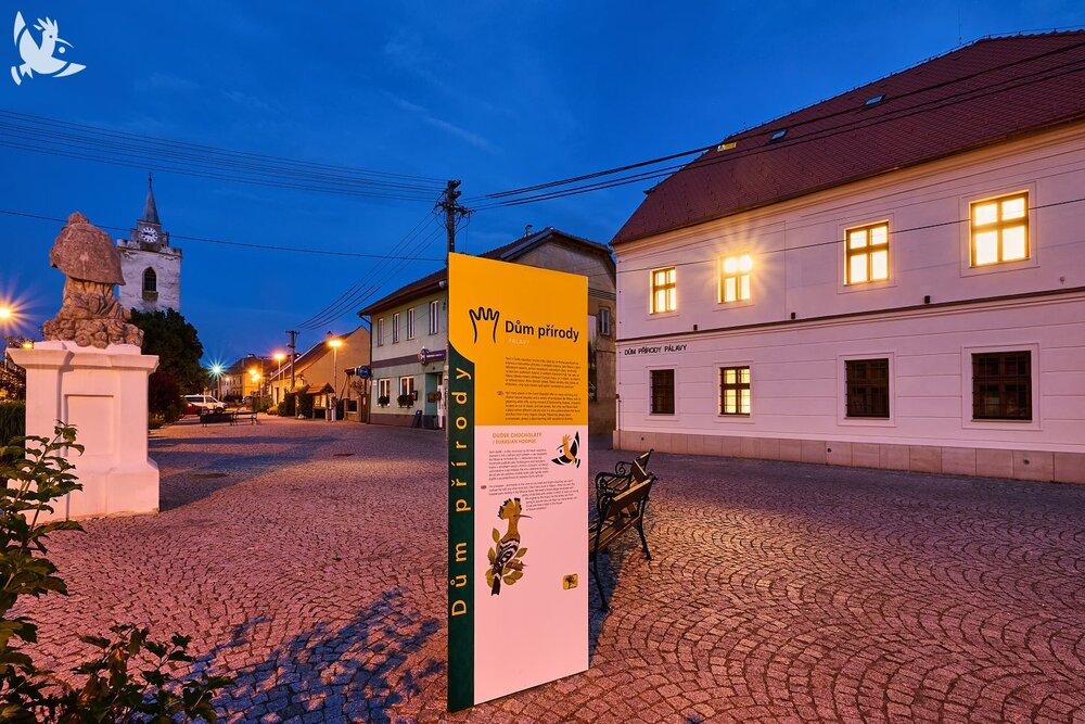 I6273094
