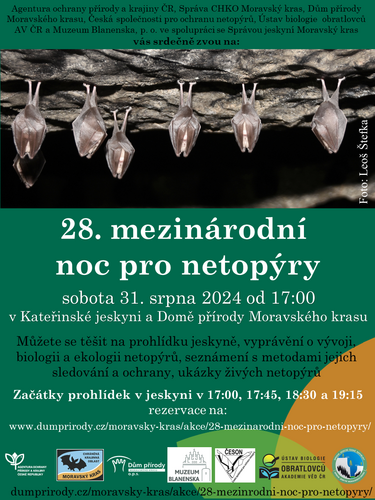 netopyri_noc
