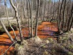 Průzkum minerálních pramenů Slavkovského lesa odhalil skryté přírodní bohatství