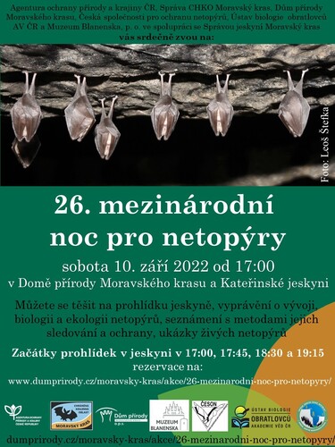 netopyri_noc – kopie