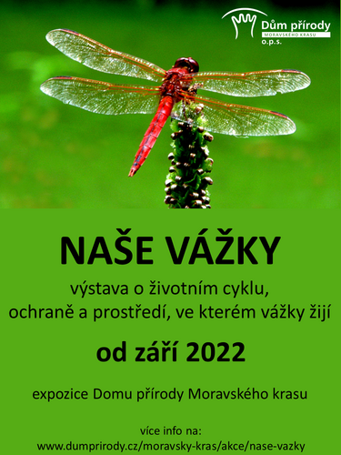 vystava_nase_vazky