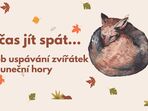 Je čas jít spát...aneb uspávání zvířátek a Sluneční hory