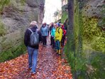 Geologická exkurze s Geoparkem do Příhrazských skal Geologická exkurze s Geoparkem do Příhrazských skal