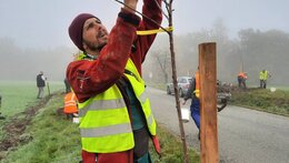Víkendové kurzy citlivého řezu ovocných dřevin