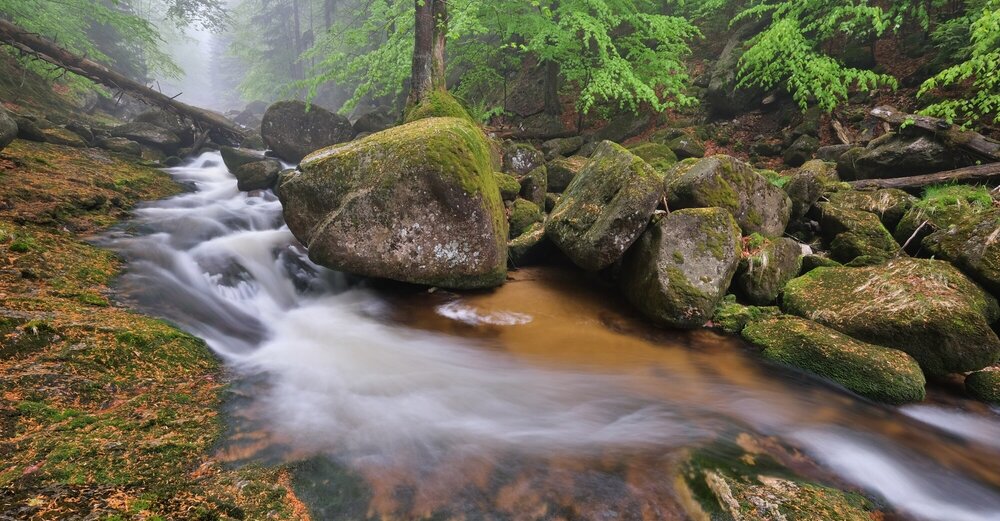 Zaostřeno na Jizerky
