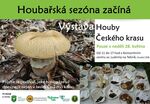 2023-05-28_Houby