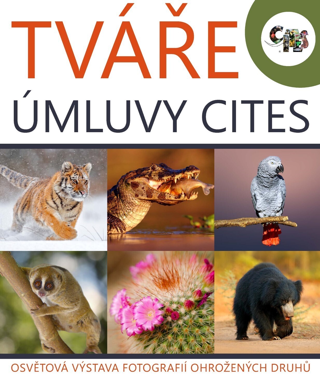 CITES