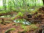 GoNATURE/ V souladu s přírodou GoNATURE/ V souladu s přírodou