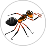 DP-BRD_maskot_mravenec_travni_v kolecku1