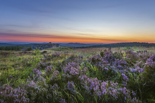 Dopadová plocha Jordán_CHKO Brdy_foto BKomancová Dopadová plocha Jordán_CHKO Brdy_foto BKomancová