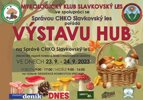 Plakat_vystava hub_2023