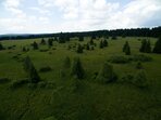 Oslavme v pátek svobody svátek třeba v přírodě Slavkovského lesa Oslavme v pátek svobody svátek třeba v přírodě Slavkovského lesa