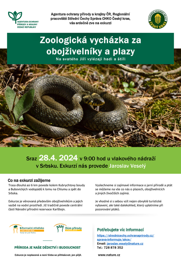 20240428_Obojzivelnici