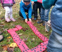 beruškové domino