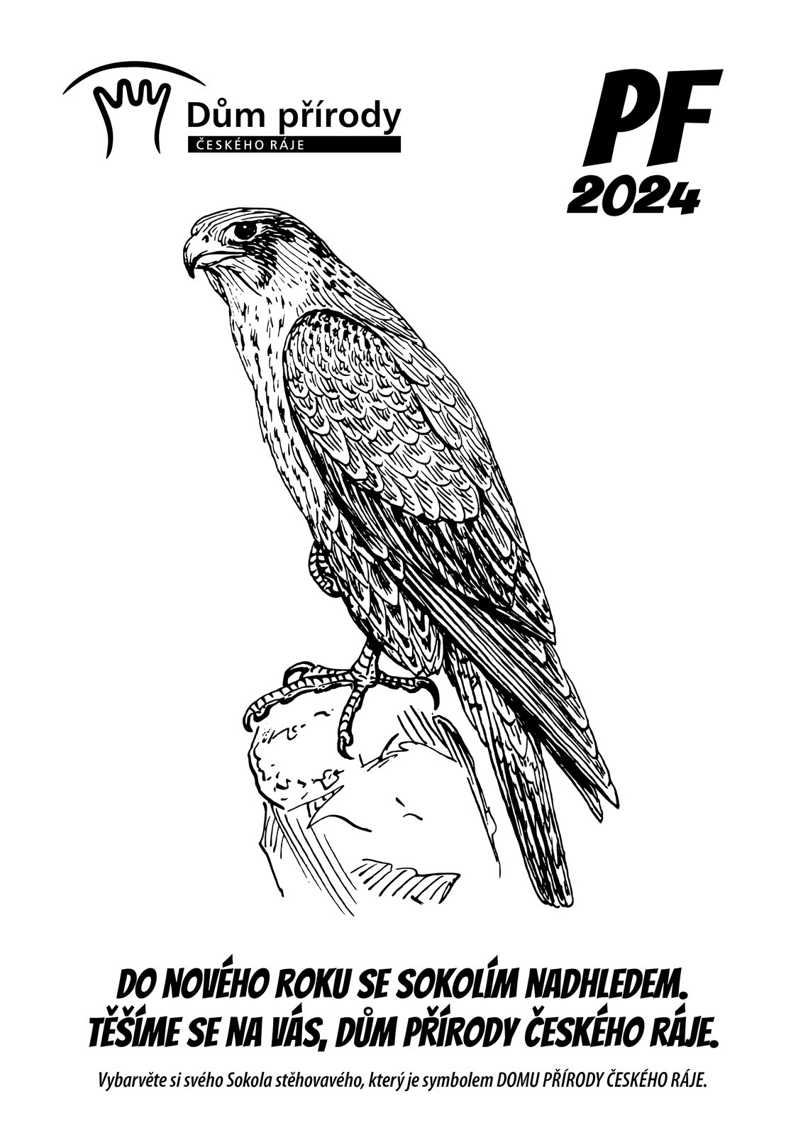 PF 2024
