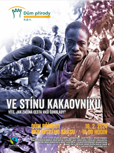Ve stínu kakaovníku