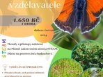 Programy pro vzdělavatele Programy pro vzdělavatele