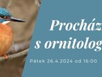 Procházka s ornitologem Procházka s ornitologem