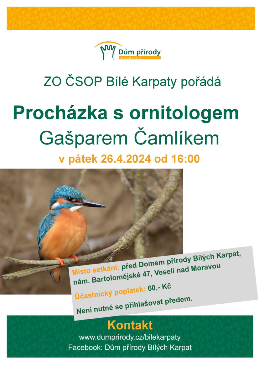 Prochazka s ornitologem 2024.docx