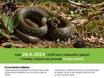 Zoologická vycházka za obojživelníky a plazy Zoologická vycházka za obojživelníky a plazy