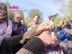 Vítání ptačího zpěvu Vítání ptačího zpěvu