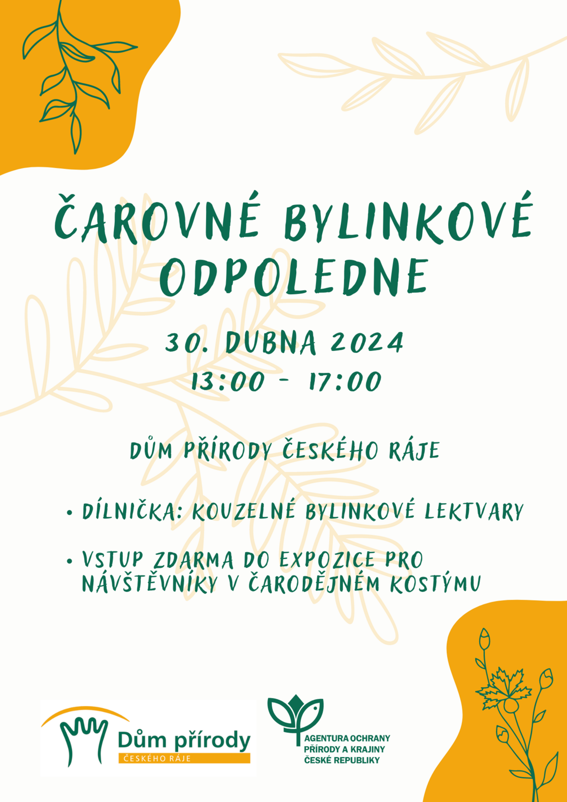 Čarovné bylinkové odpoledne
