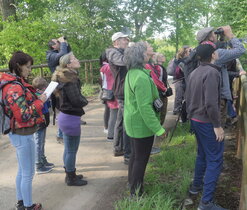 Ornitologická vycházka 204-04-26g