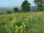 Celostátní setkání členů a přátel Českého svazu ochránců přírody