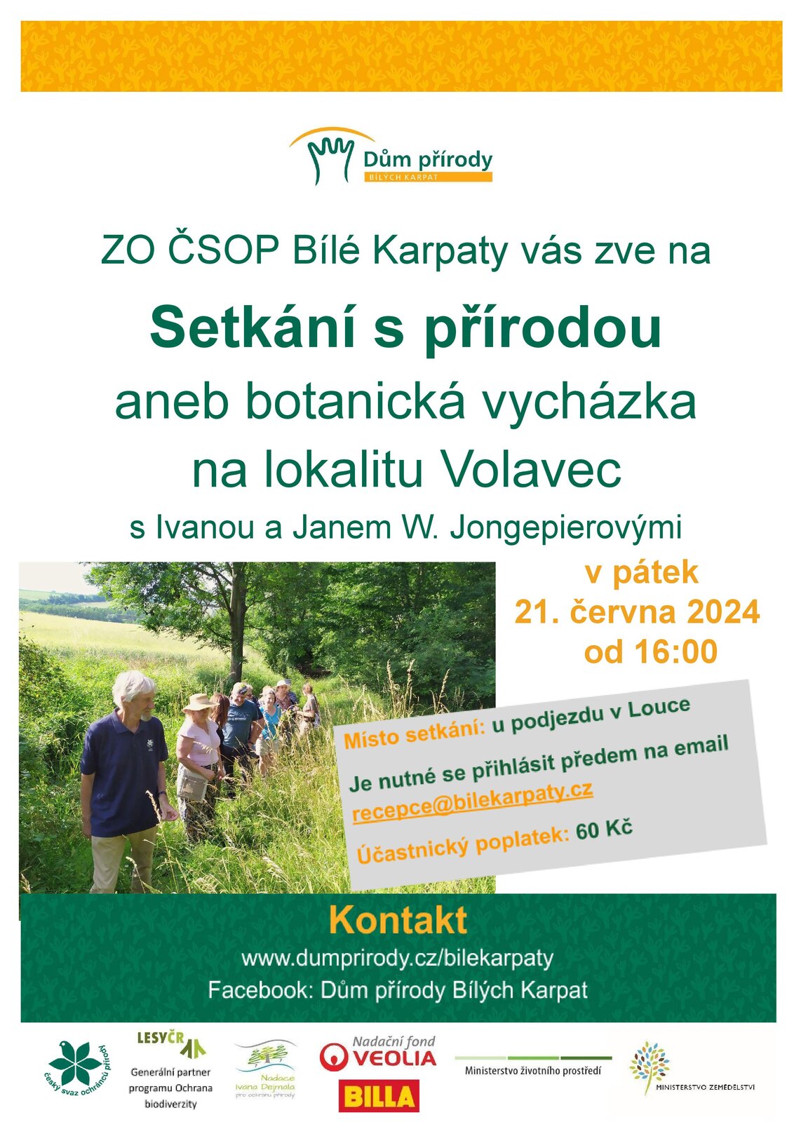 Volavec