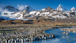 Zimní přednášky v Domě přírody Českého ráje: Divočina Arktidy a Antarktidy