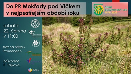 Plakát_Mokřady