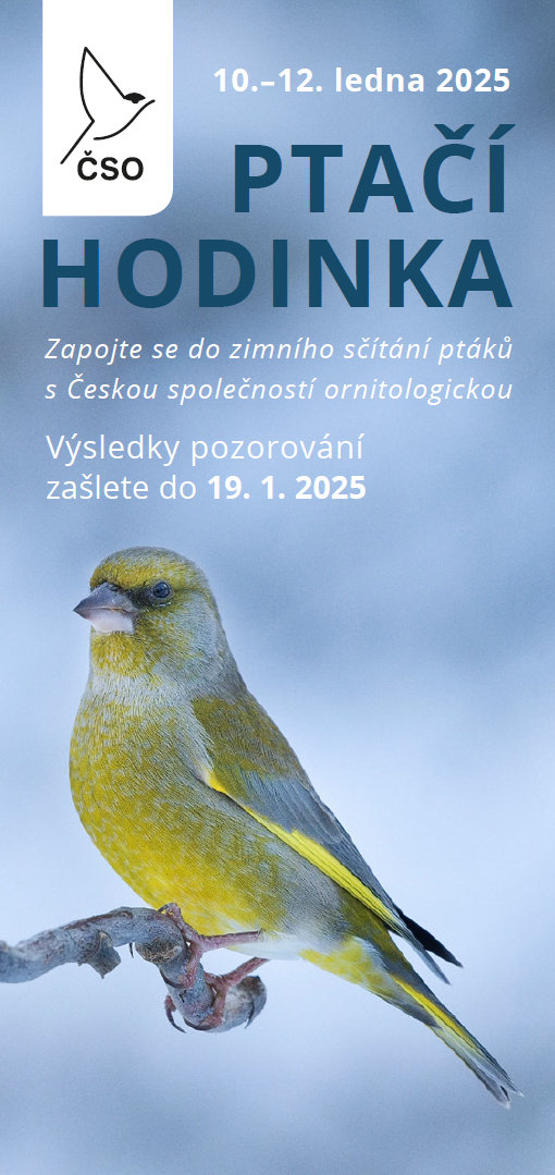 Ptačí hodinka 2025