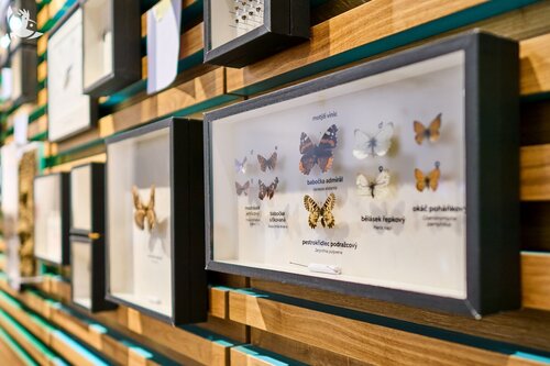 Pohled na vnitřní expozice DP Pálavy.