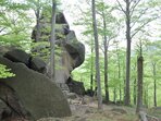 JIZERKY S PRŮVODCEM - Po stopách lesníků a horolezců ve svazích Poledníku