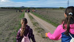 Ukliďme Česko, ukliďme Pálavu 2026