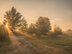 Po hranicích CHKO Třeboňsko Z Veselí nad Lužnicí do Třeboně Po hranicích CHKO Třeboňsko z Veselí nad Lužnicí do Třeboně
