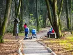 Educational routes and trails 