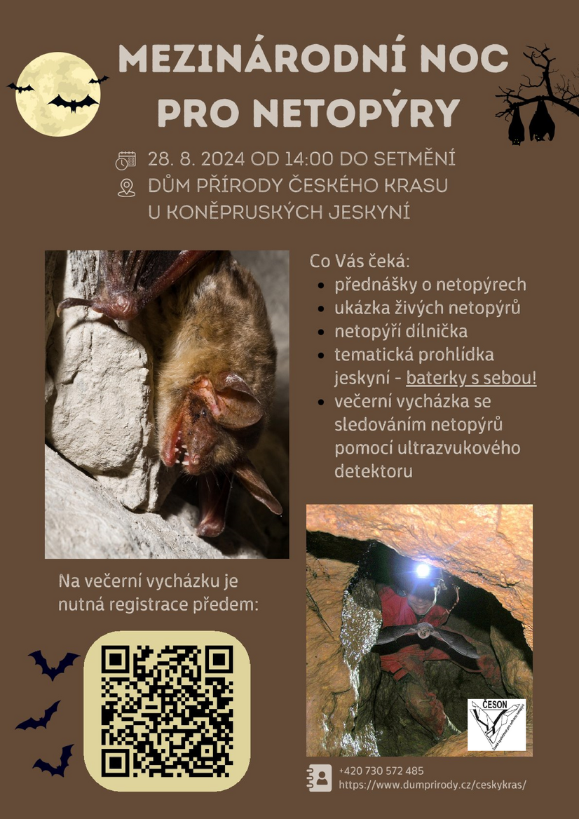Noc s netopýry leták s logem česon