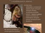 Mezinárodní noc pro netopýry 2024