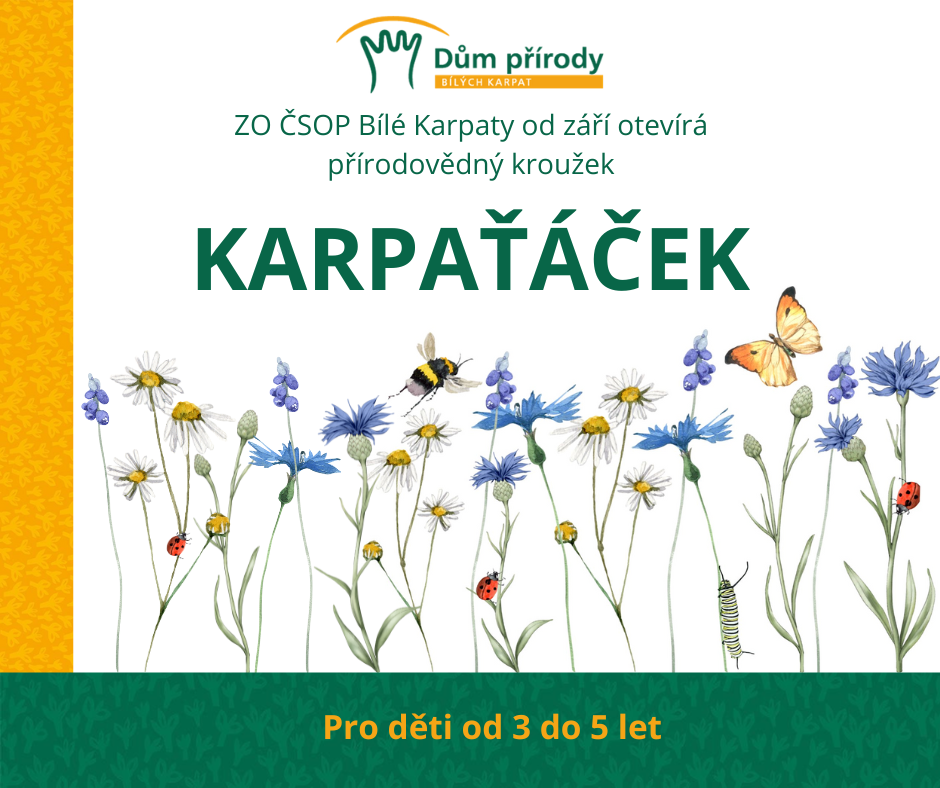 Kroužek Karpaťáček