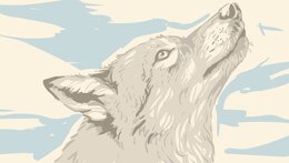 Výstava Návrat vlků