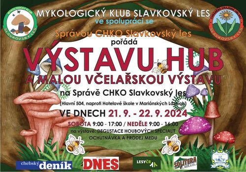 Plakat_vystava hub 2024