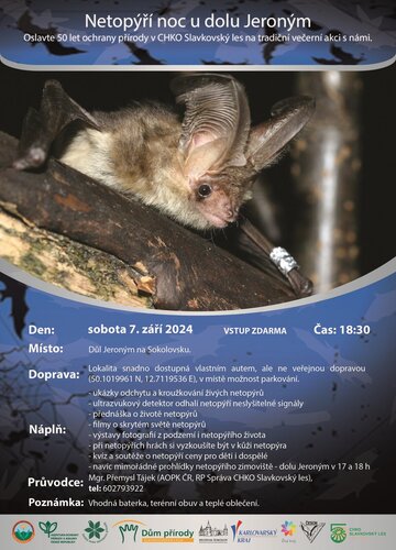 Plakát_Netopýří noc v Jeroným 2024_web