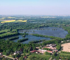 kotvice2
