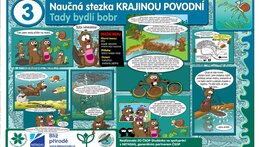 3 - Tady bydlí bobr