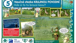 5 - Kdo si to tu brousí kosu