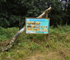zastavení NS