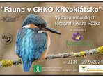 Výstava: FAUNA V CHKO KŘIVOKLÁTSKO Výstava: FAUNA V CHKO KŘIVOKLÁTSKO