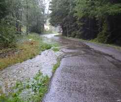 Cesta k Domu přírody Brd