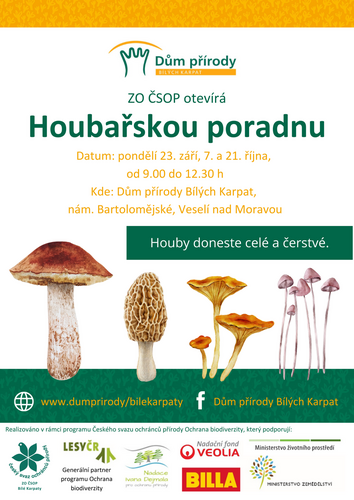 plakát houbařská poradna def